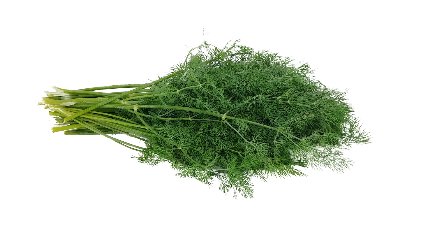 Dill