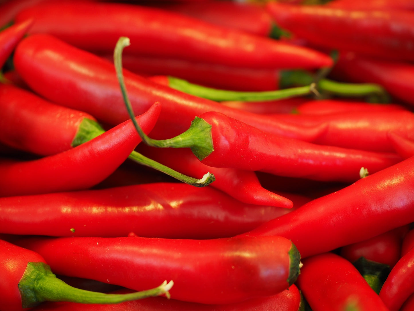 Cayenne
