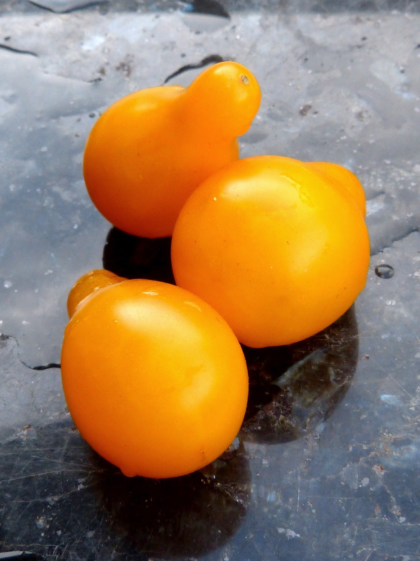 Tomat - Yellow Pearshaped