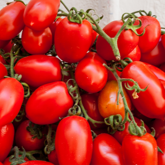 Marzano - En italiensk tomat