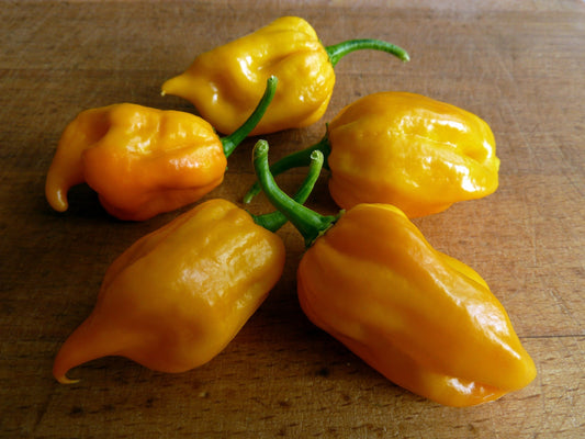 Habanero Lemon